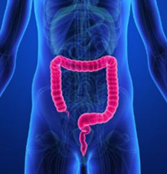 大腸デトックスの重要性