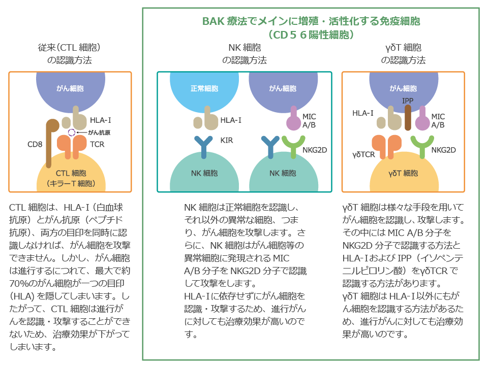 研究 9 松田研究室 Mazda Lab