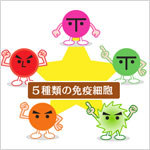 「倉持式」5種複合免疫療法 イメージ