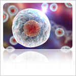 RYEGLOLYプログラム イメージ