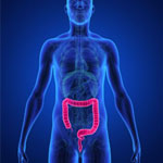 CCPプログラム (腸内クリーンプログラム) イメージ