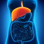 LCPプログラム (肝臓クリーンプログラム) イメージ