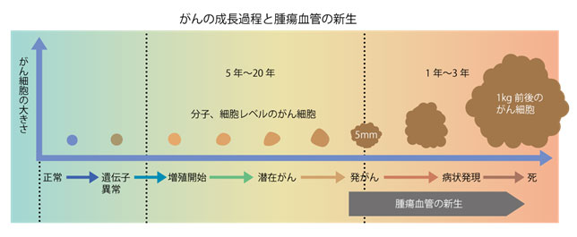 1細胞レベルでガンの転移が確認できる新技術 東大と理研がマウスで実験成功 ギズモード ジャパン