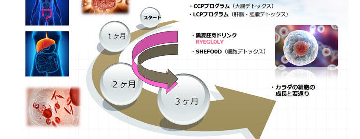 3D NLS イメージ
