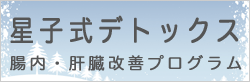 星子式デトックス 腸内環境改善プログラム
